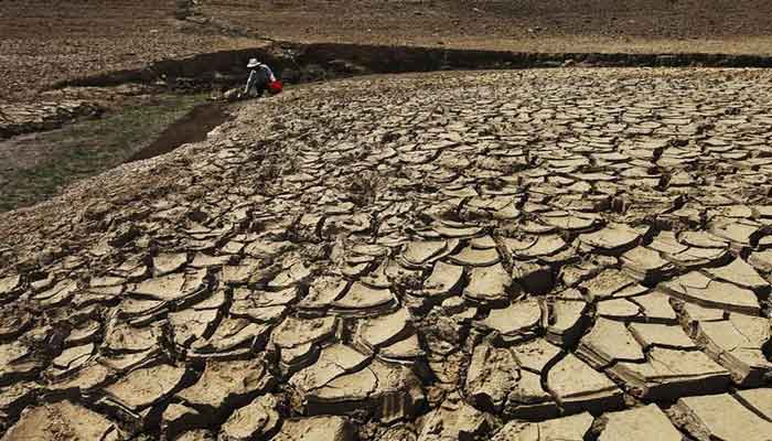 Nicaragua vive la la peor sequía en 32 años. (EFE)