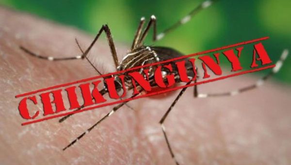 Van dos casos de la fiebre del Chikungunya en la isla de Jamaica. (Foto: Archivo)
