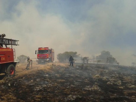 Al menos cinco focos de incendios forestales mantienen con alerta roja a las comunas de Cartagena, El Tabo y Quilpué en la Región de Valparaíso.(Foto: Soy Chile)