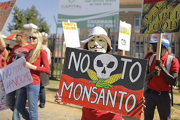 El próximo 17 de agosto los activistas de Chile protestarán contra la Ley Monsanto. (foto: Archivo)
