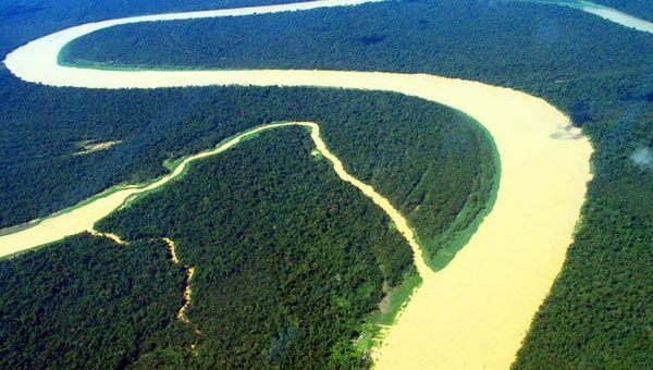 La selva tropical más extensa. (Foto: Récord Guinness)