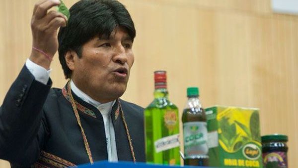 Evo Morales promueve la industrialización de la coca con usos medicinales (Foto: Archivo)