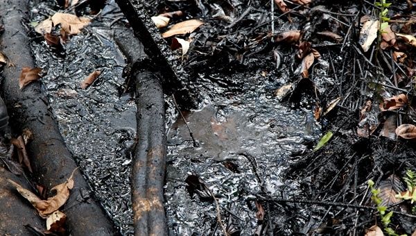Las autoridades ecuatorianas aseguran que durante los casi 30 años que operó en la Amazonía, Texaco derramó 16,8 millones de galones de petróleo en el ecosistema. (Foto: Archivo)