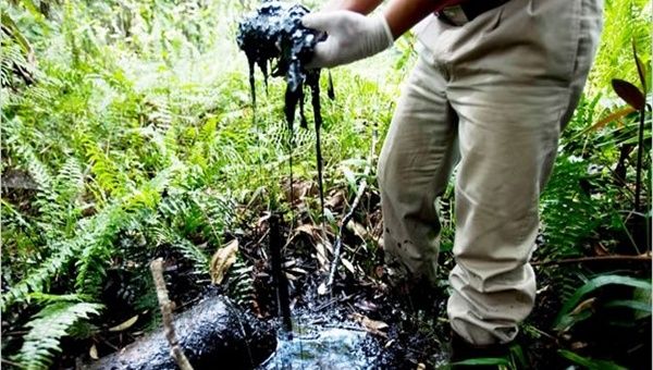 El daño ambiental que dejó la compañía en la Amazonía ecuatoriana ha sido constatado por decenas de personalidades políticas y artistas internacionales. (Foto: Archivo)