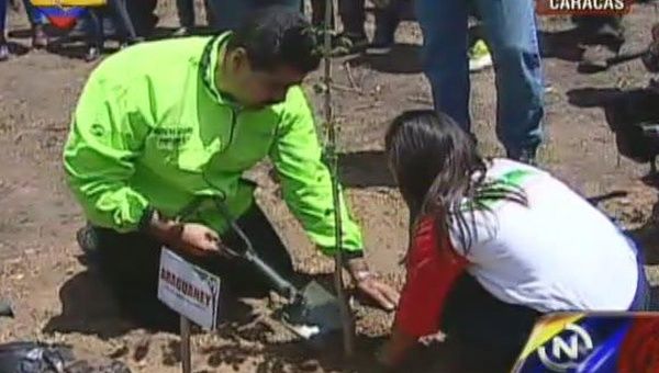 El presidente Maduro aprobó un plan que implica la siembra de unos 3 millones de árboles en Venezuela. (Foto: VTV)