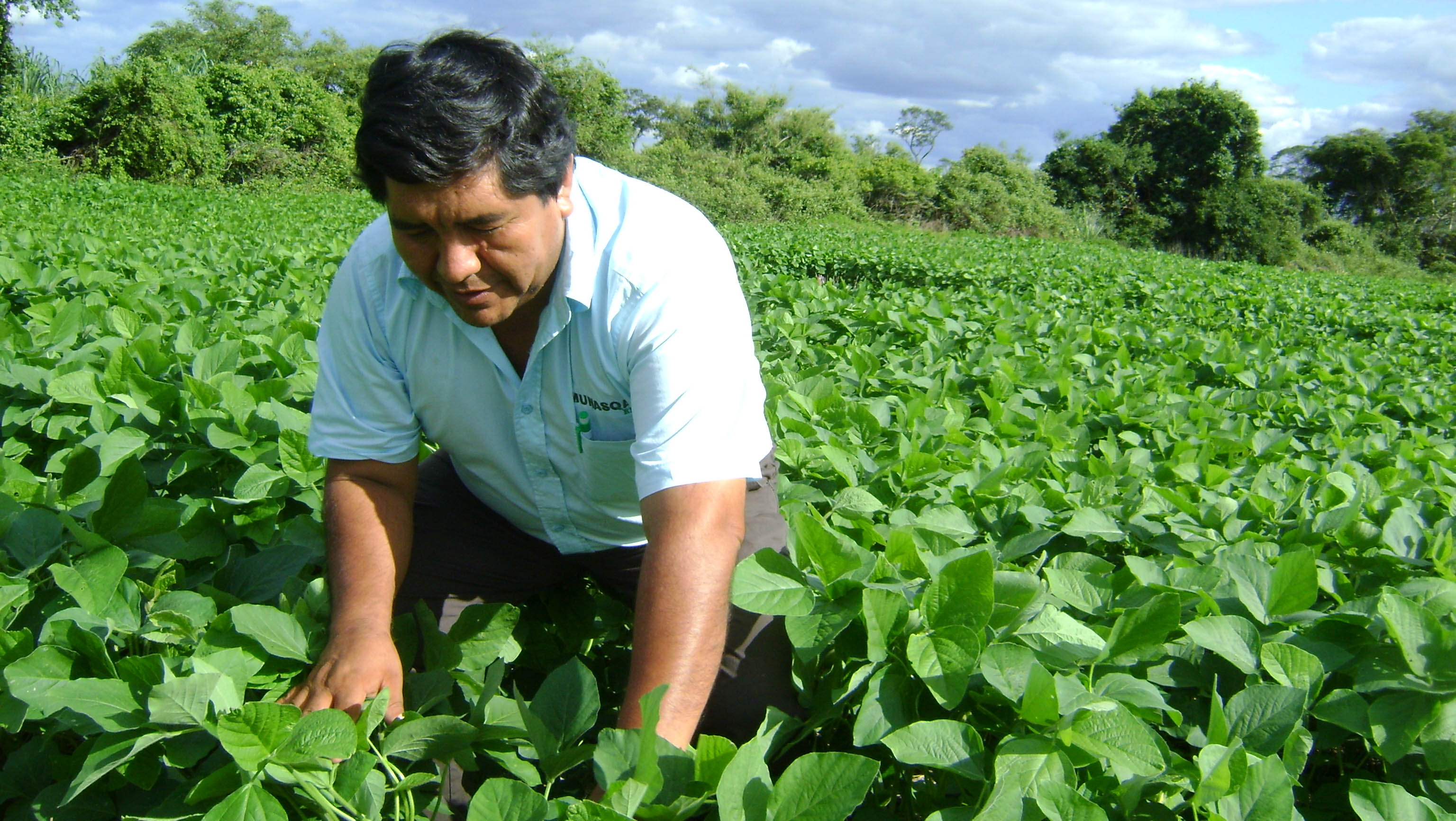 La nueva asignación de recursos busca incentivar la producción agrícola en las familias o pequeños productores. (Foto: boliviaagra.wordpress.com)