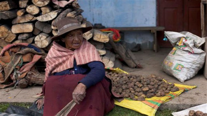 Los asháninkas fallecidos pertenecían a la comunidad nativa de Alto Tamaya-Saweto, formada por unas treinta familias en la región amazónica de Ucayali. (Foto: Archivo)