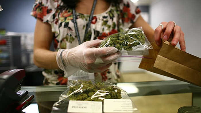 El propósito de la reforma de la Ley de Drogas Peligrosas es promover la industria de marihuana medicinal. (Foto: Archivo)