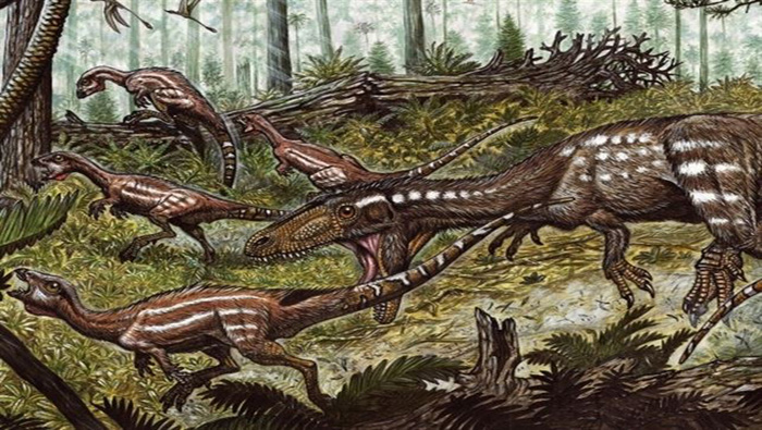 Paleontólogos encuentran fósiles de un dinosaurio desconocido.(Foto:Ciencia Plus)