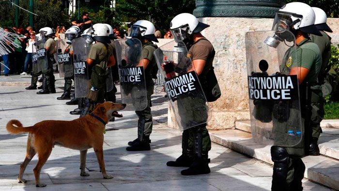Muere a los 10 años el perro de las protestas en Grecia (Archivo)