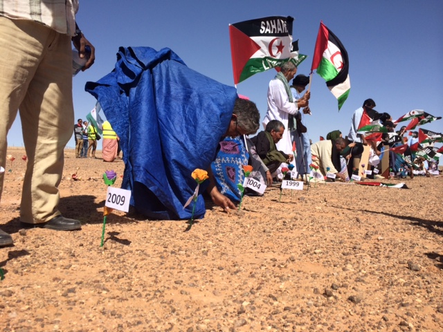 Unos 200 mil saharauis viven refugiados en Tindouf, un grupo pedirá mañana el derribo del Muro de la Vergüenza. (Foto: @SRodrigoteleSUR)