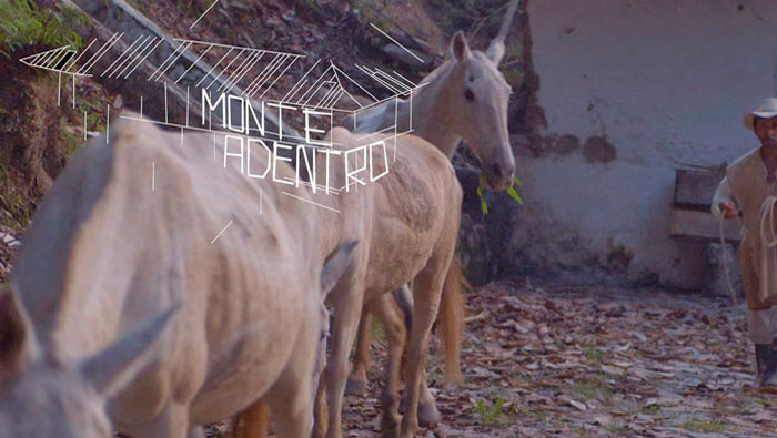 El largometraje autóctono muestra la vida los últimos arrieros en Colombia (Foto:FICCI)