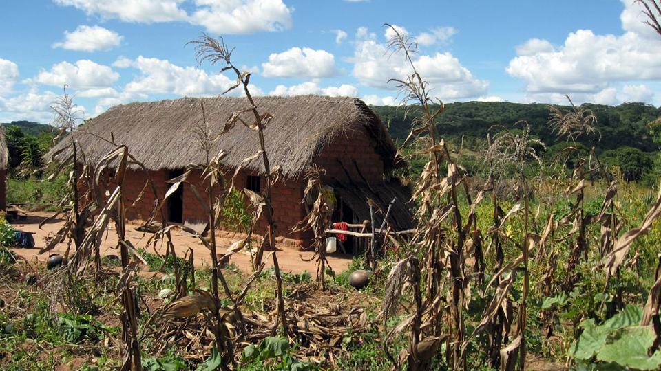Hace una semana siete personas fueron quemadas vivas en sus chozas en el oeste de Tanzania, acusadas por los vecinos de brujería. (Foto: Archivo)