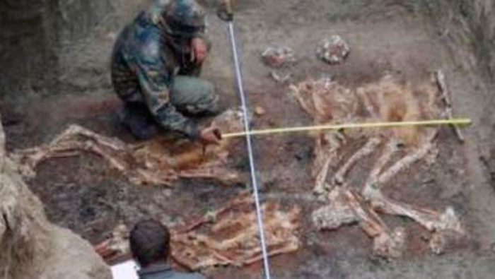 Los primeros indicios señalan que los esqueletos podrían datar de hace cuatro mil años. (Foto: HispanTV)
