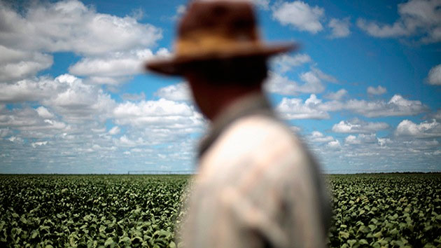 Agricultores de Brasil rechazan los cobros de Monsanto por semillas de soja transgénica  (Foto: RT)