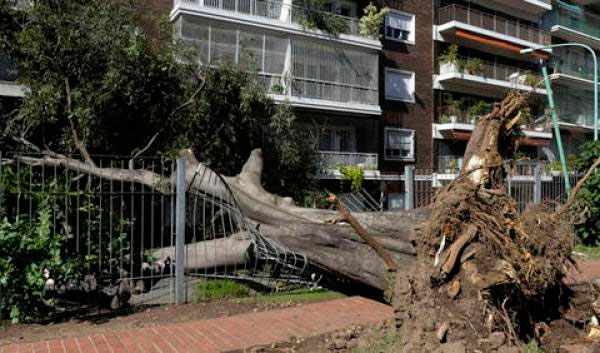 Fuerte temporal causó daños en varias zonas de Argentina. (Fuente: Radio Mundial)