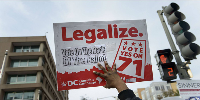 Un hombre haciendo campaña para la legalización de la marihuana en las elecciones realizadas este martes. (Foto: AFP)