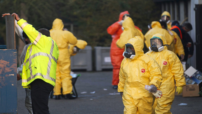 Holanda alerta ante la propagación de la gripe aviar. (Foto: Reuters).