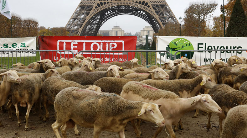 Mientras los pastores manifestaban, al otro lado de la Torre Eiffel, unas 20 personas favorables a la protección de los lobos trataban de hacerse oír.