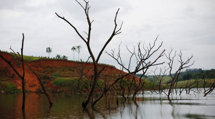 La sequía ha golpeado principalmente al estado de Sao Paulo, aunque los estados de Minas Gerais y Río de Janeiro también están sufriendo los embates de este problema.