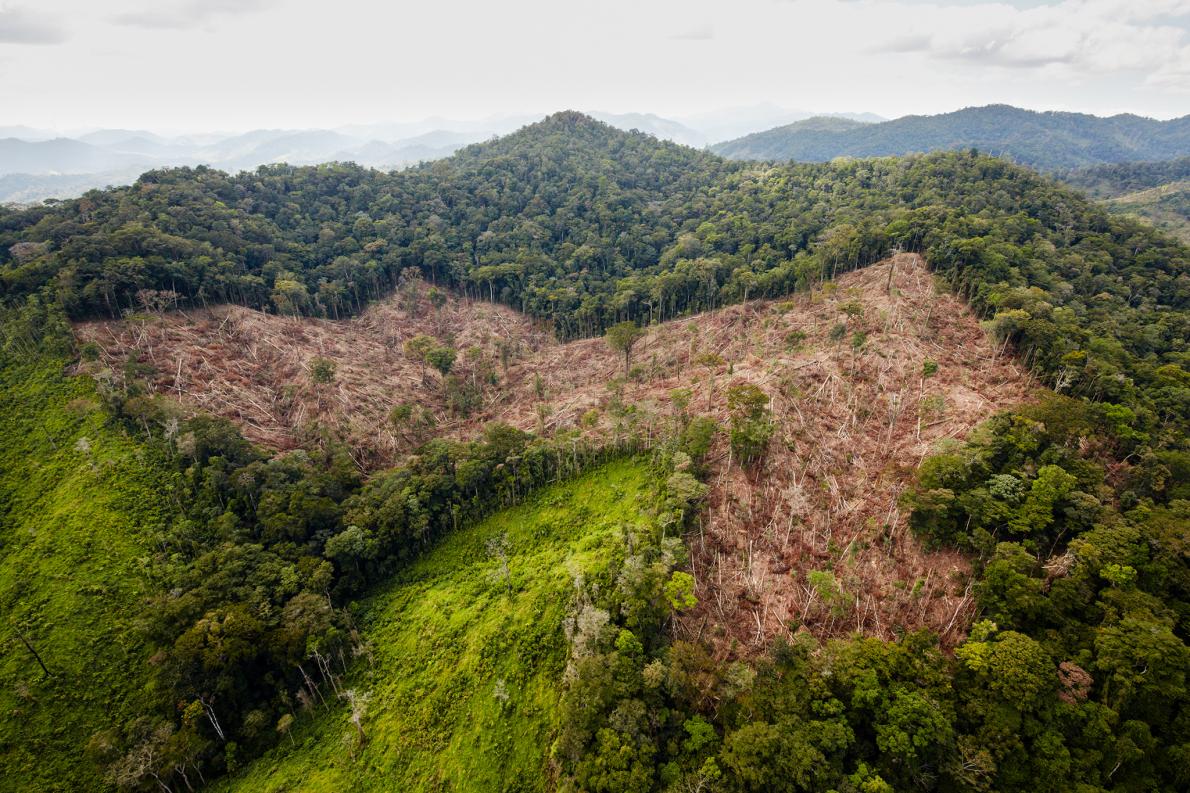 Una misteriosa ciudad precolombina perdida en Honduras