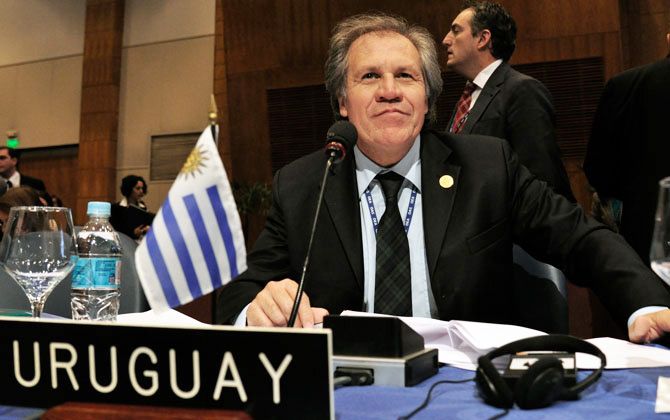 Además de secretario general de la OEA, Almagro también resultó electo senador de Uruguay para el período 2015-2020.