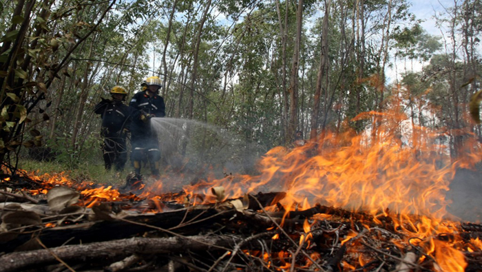 A través de una campaña Honduras buscará minimizar los incendios forestales.