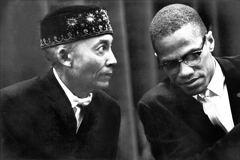 achievements made by malcolm x