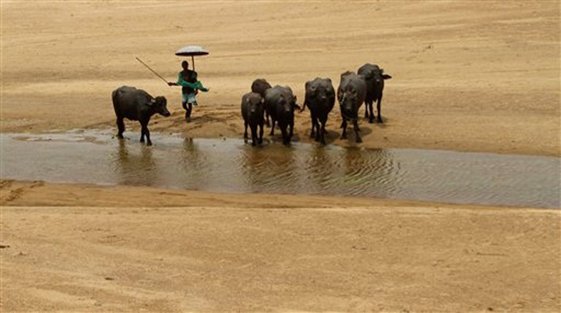 El agua de los pozos se seca gradualmente, lo cual causa la muerte de muchos animales. 