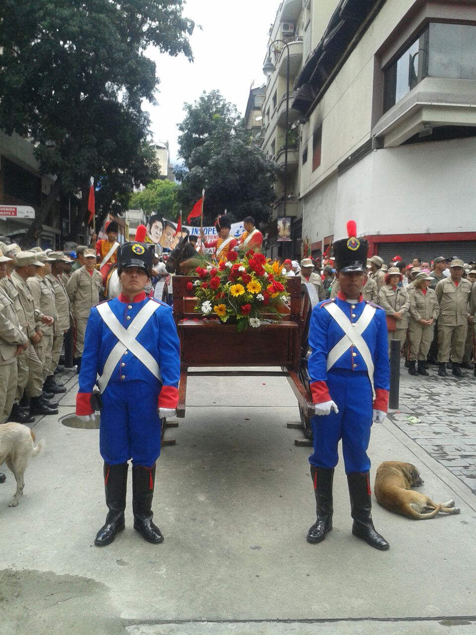 Los restos simbólicos de Pedro Camejo llegaron a la Asamblea Nacional este martes, donde permanecerán en capilla ardiente y los miembros del órgano legislativo y el pueblo venezolano le rendirán honores.