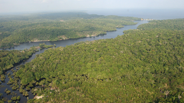Los territorios indígenas de la Amazonia almacenan 11 veces más carbono.