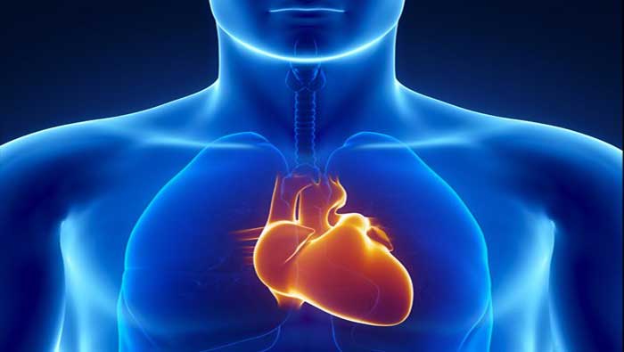 EE.UU. registra anualmente 350 mil personas sufren de muerte súbita no relacionadas con problemas cardíacas