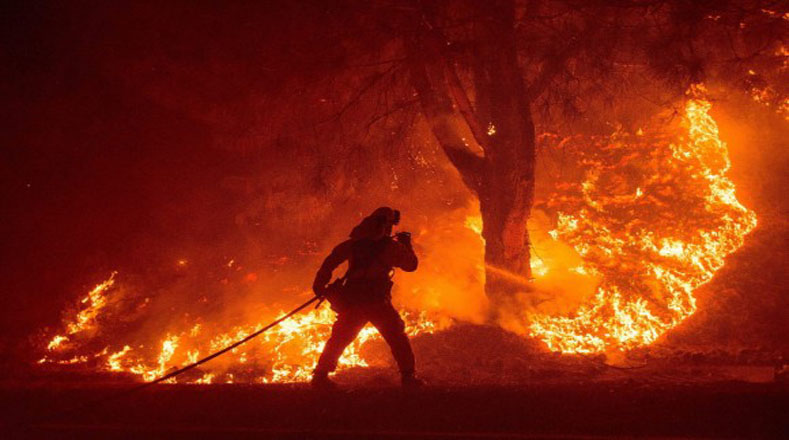 Las llamas se queman a través de un bosque mientras los bomberos tratan de atajar el fuego.