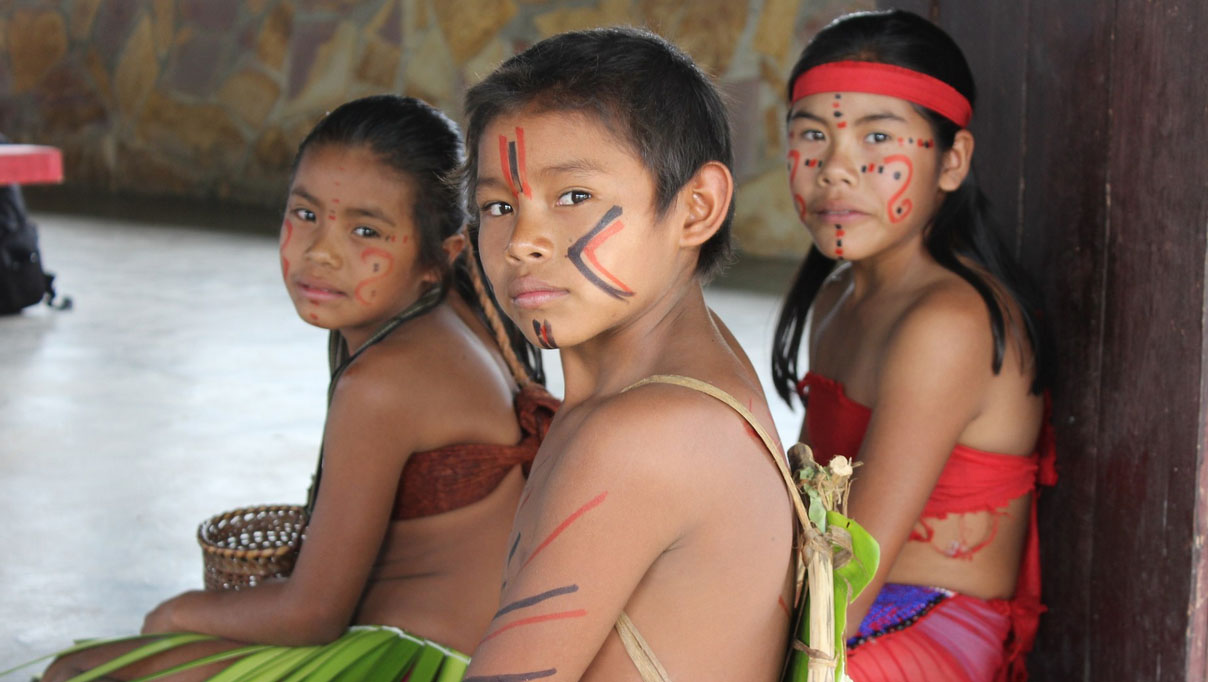 El Día Internacional de los Pueblas Indígenas fue instituido por la Asamblea General de la ONU el 23 de diciembre de 1994.