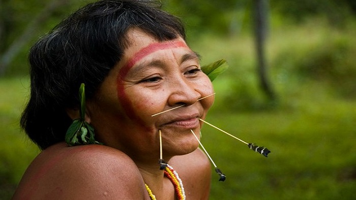 En 2007 se creó el ministerio de los Pueblos Indígenas en Venezuela.