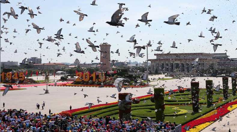 Cientos de palomas fueron arrojadas al cielo al cierre del desfile