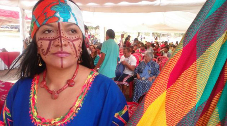 Para garantizar la protección social a los indígenas en Venezuela existe desde 2007 el Ministerio del Poder Popular para los Pueblos Indígenas, el cual es dirigido por Aloha Núñez, de descendencia Wayuu. 