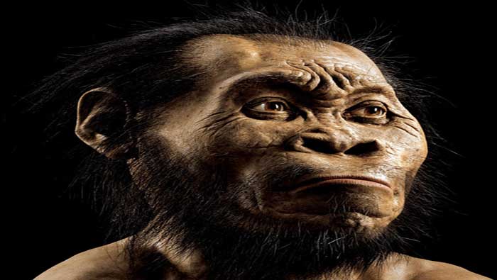 El Homo naledi presenta rasgos físicos muy similares al Homo sapiens