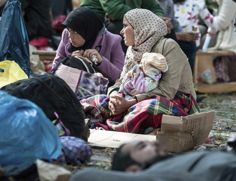 Alemania espera acoger 800 mil refugiados antes que culmine este año.