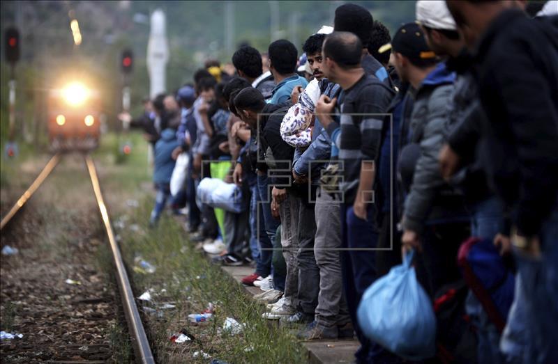 Miles de refugiados se movilizan a diario hasta Macedonia.