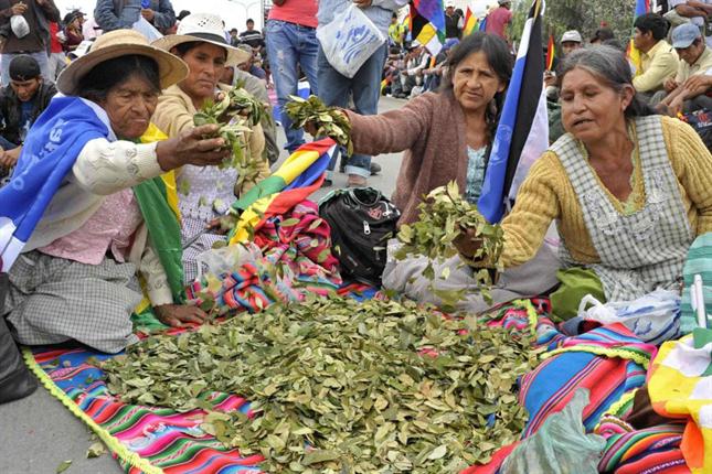 Bolivia siempre ha defendido el valor nutricional y medicinal de la hoja de coca.