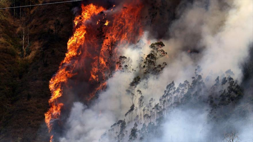 El incendio afectó a Quito, donde el pasado lunes se registraron dos siniestros por las elevadas temperaturas.