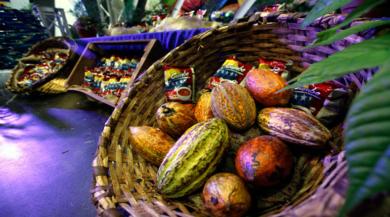 Este 1 de octubre se celebra el primer Día Nacional del Cacao, aprobado por la Asamblea Nacional (AN) de Venezuela.