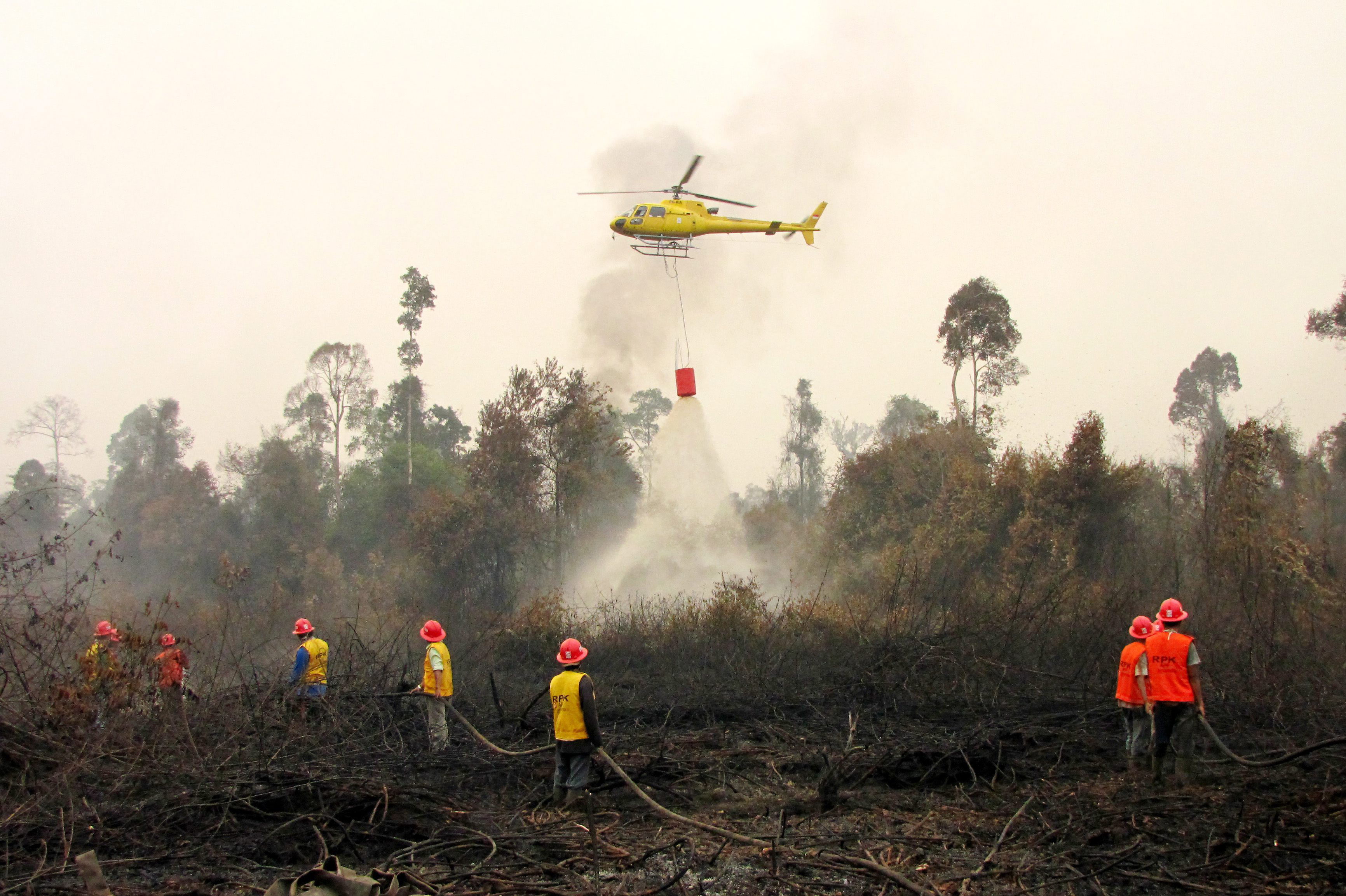 La situación llegó a ser de tal gravedad que el 8 de octubre el presidente indonesio, Joko Widodo, solicitó ayuda a Japón, Malasia, Rusia y Singapur para combatir los incendios.