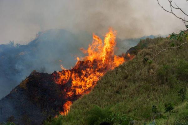 En los últimos meses más de 15 incendios forestales se han registrado en algunos departamentos, alcanzado temperaturas de hasta 40 grados centígrados.