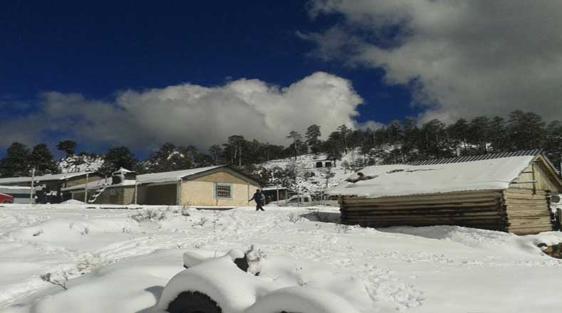 La Comisión Nacional del Agua de México, reportó fuertes nevadas en los municipios de Tepehuanes y Guanaceví, en Durango.