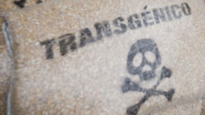 Monsanto es una transnacional que promociona productos transgénicos.
