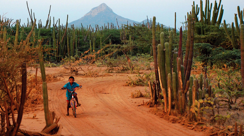 Los niños y niñas Wayuú tienen que hacer frente al hambre y la sequía en la Guajira colombiana.