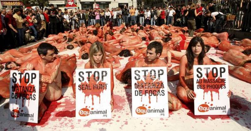 En este día las organizaciones defensoras de los animales intensifican sus protestas.