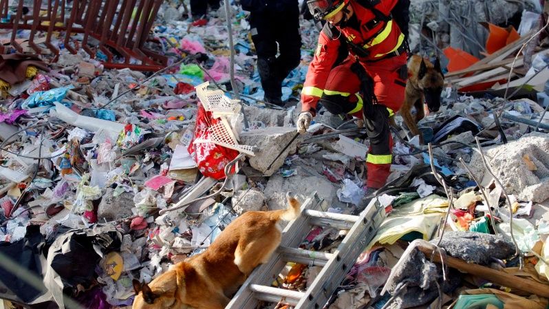 Bomberos de al menos 20 países trabajan por encontrar a más personas con vida dentro de los escombros. 